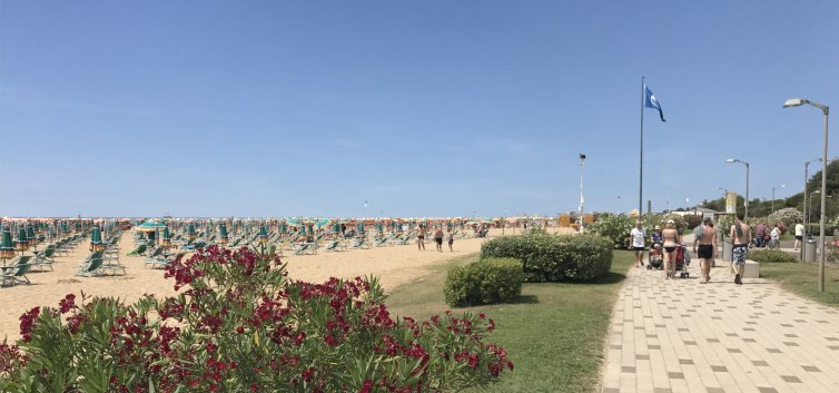 APPARTAMENTI TORCELLO