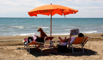 vacanza per cani a Bibione